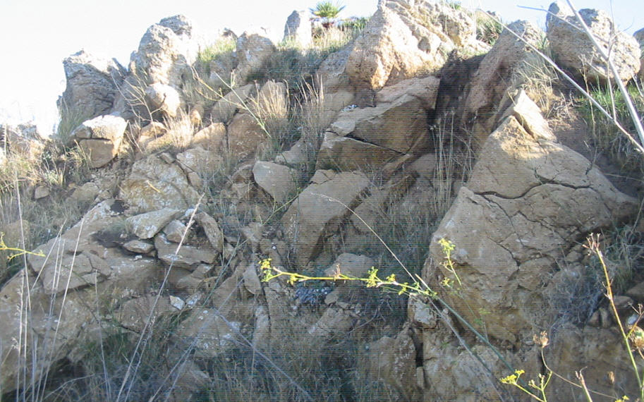Faglia
